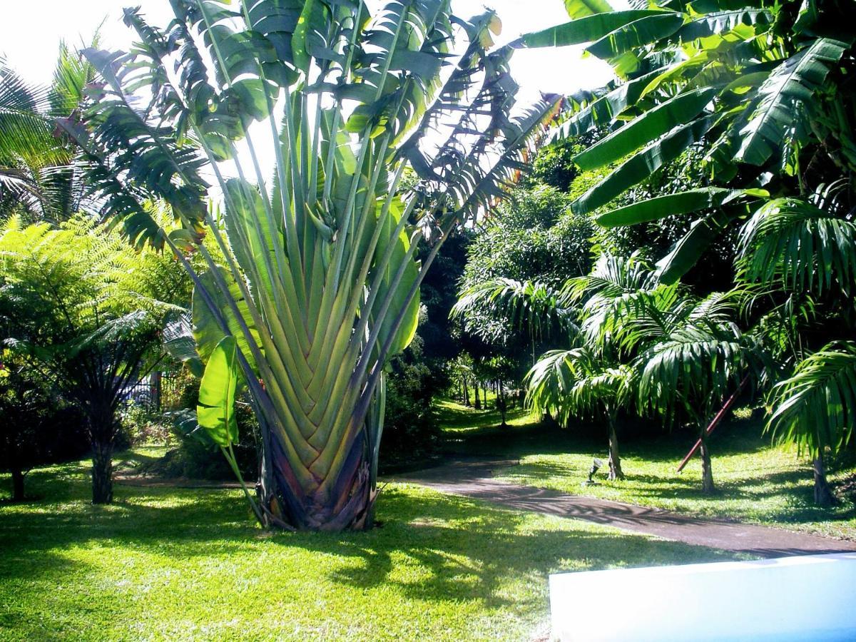 Villa Arbre Du Voyageur, 4 Etoiles Et 4 Clevacances Entre-Deux Exterior photo